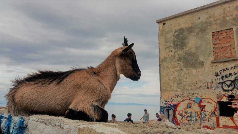 Grenzeloos Ondernemen Albanië