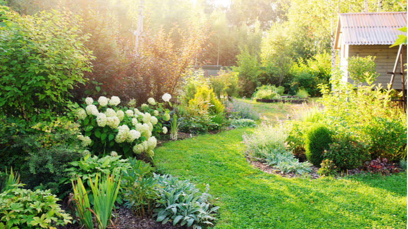 Duurzame tuin