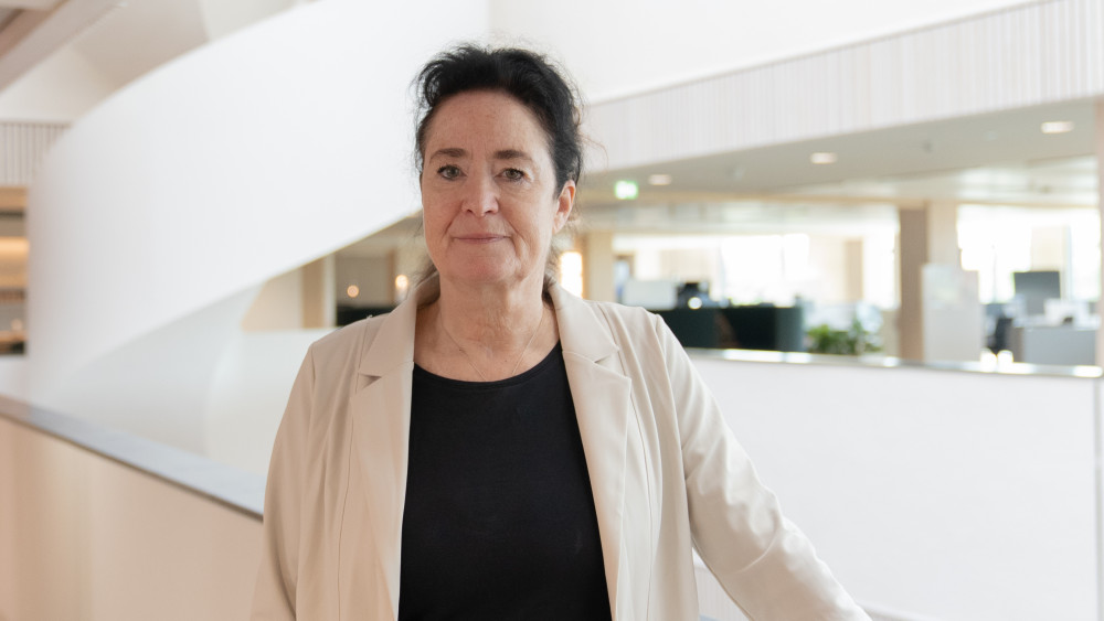 Meiltje de Groot