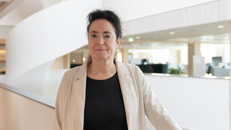 Meiltje de Groot