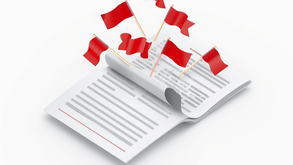 Rode vlaggen rapport